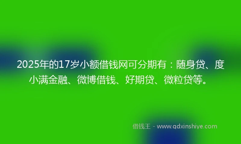 2025年的17岁小额借钱网可分期有：随身贷、度小满金融、微博借钱、好期贷、微粒贷等。