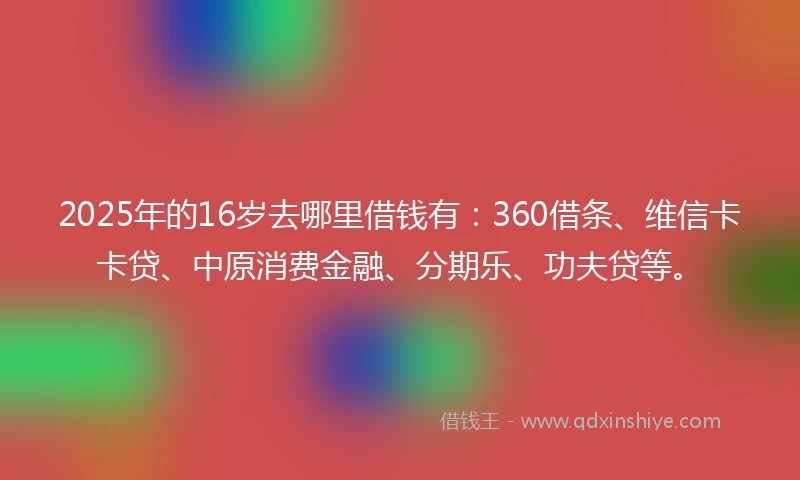 2025年的16岁去哪里借钱有：360借条、维信卡卡贷、中原消费金融、分期乐、功夫贷等。