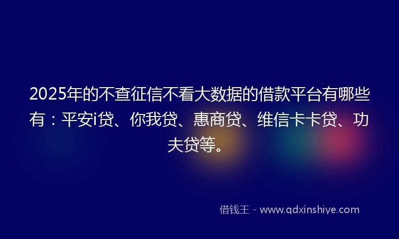 2025年的不查征信不看大数据的借款平台有哪些有：平安i贷、你我贷、惠商贷、维信卡卡贷、功夫贷等。
