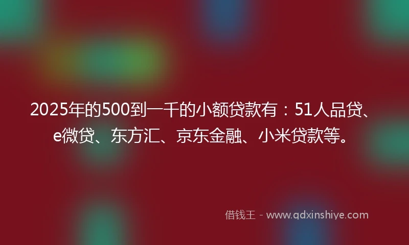 2025年的500到一千的小额贷款有：51人品贷、e微贷、东方汇、京东金融、小米贷款等。