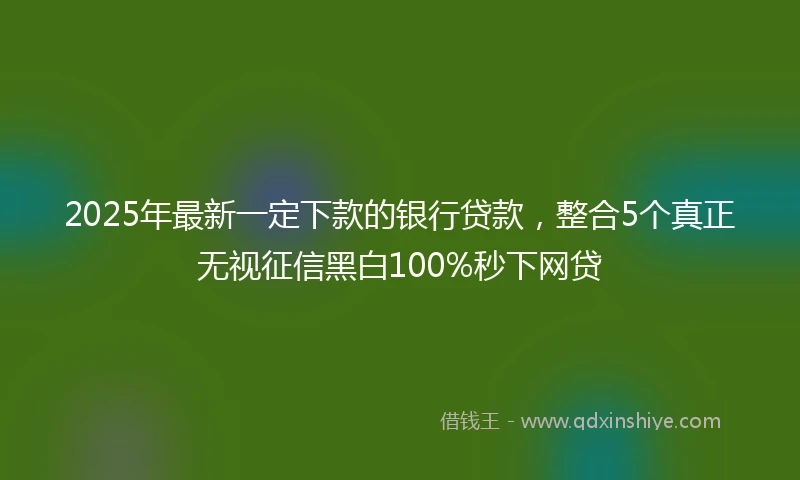 2025年最新一定下款的银行贷款，整合5个真正无视征信黑白100%秒下网贷