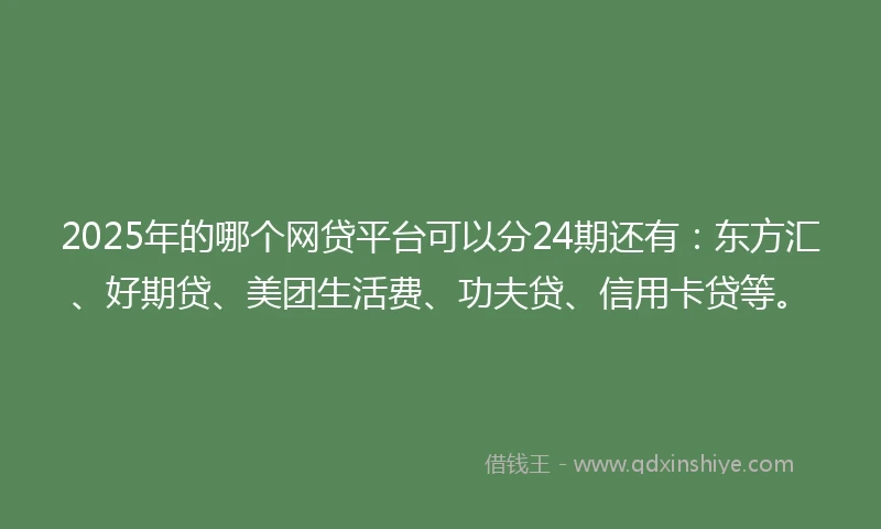 2025年的哪个网贷平台可以分24期还有：东方汇、好期贷、美团生活费、功夫贷、信用卡贷等。