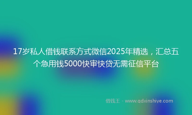 17岁私人借钱联系方式微信2025年精选，汇总五个急用钱5000快审快贷无需征信平台