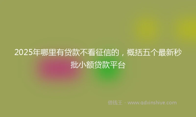 2025年哪里有贷款不看征信的，概括五个最新秒批小额贷款平台