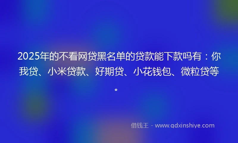 2025年的不看网贷黑名单的贷款能下款吗有：你我贷、小米贷款、好期贷、小花钱包、微粒贷等。