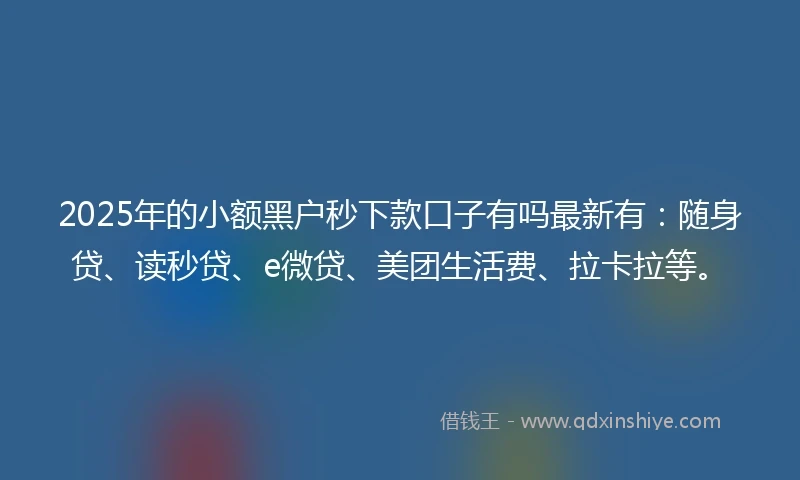 2025年的小额黑户秒下款口子有吗最新有：随身贷、读秒贷、e微贷、美团生活费、拉卡拉等。