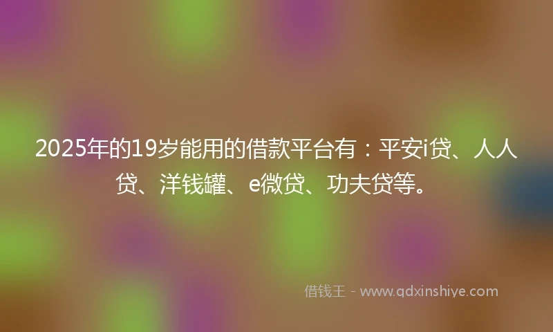 2025年的19岁能用的借款平台有：平安i贷、人人贷、洋钱罐、e微贷、功夫贷等。
