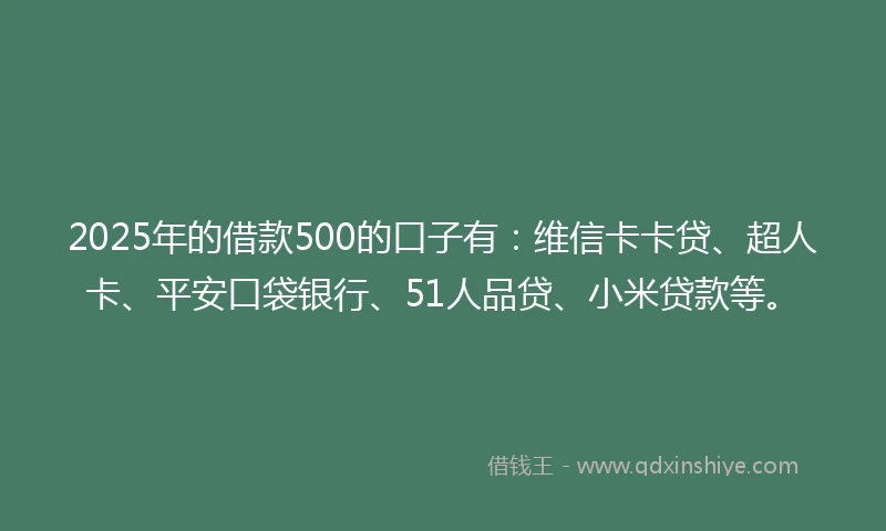 2025年的借款500的口子有：维信卡卡贷、超人卡、平安口袋银行、51人品贷、小米贷款等。