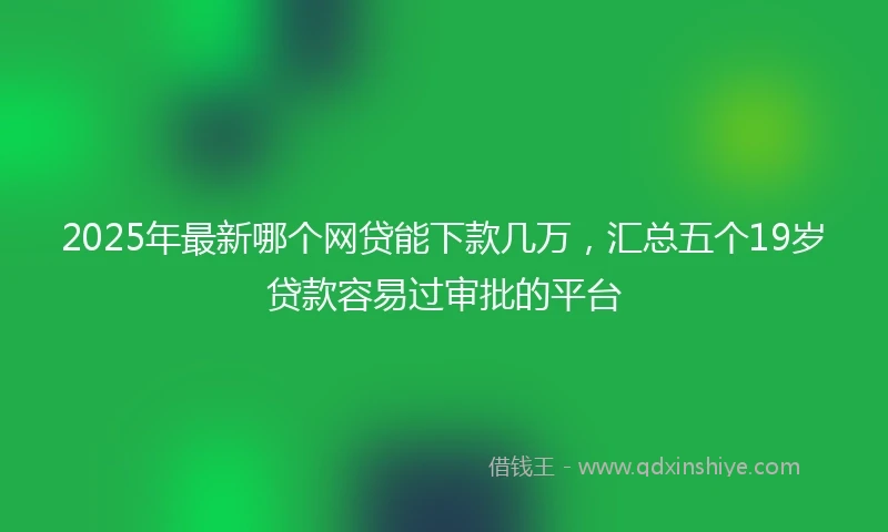 2025年最新哪个网贷能下款几万，汇总五个19岁贷款容易过审批的平台