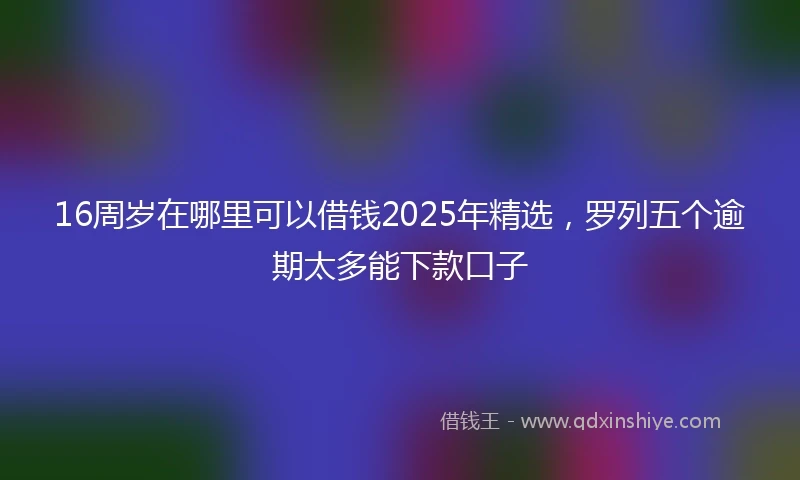 16周岁在哪里可以借钱2025年精选，罗列五个逾期太多能下款口子
