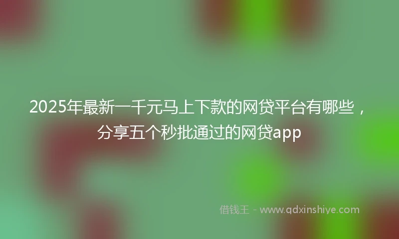 2025年最新一千元马上下款的网贷平台有哪些，分享五个秒批通过的网贷app
