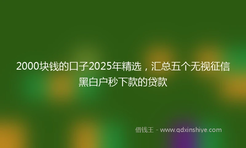 2000块钱的口子2025年精选，汇总五个无视征信黑白户秒下款的贷款