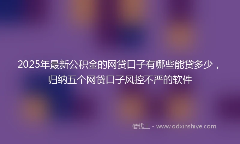 2025年最新公积金的网贷口子有哪些能贷多少，归纳五个网贷口子风控不严的软件