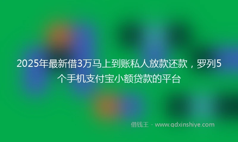 2025年最新借3万马上到账私人放款还款，罗列5个手机支付宝小额贷款的平台