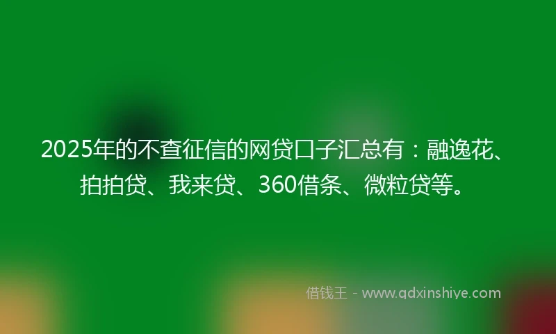 2025年的不查征信的网贷口子汇总有：融逸花、拍拍贷、我来贷、360借条、微粒贷等。