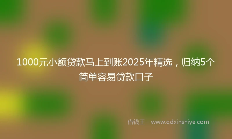 1000元小额贷款马上到账2025年精选，归纳5个简单容易贷款口子