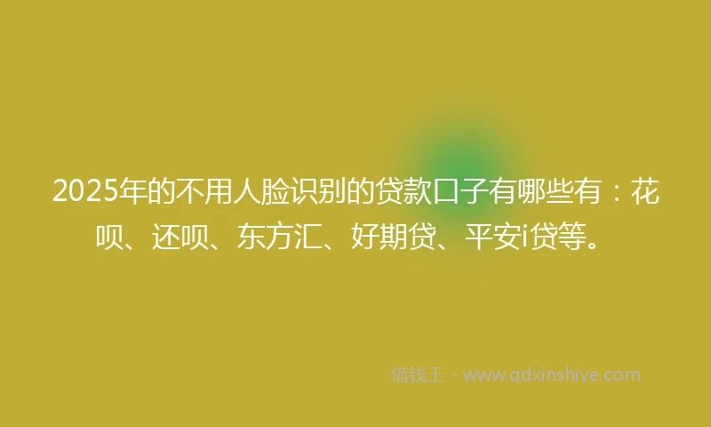 2025年的不用人脸识别的贷款口子有哪些有：花呗、还呗、东方汇、好期贷、平安i贷等。