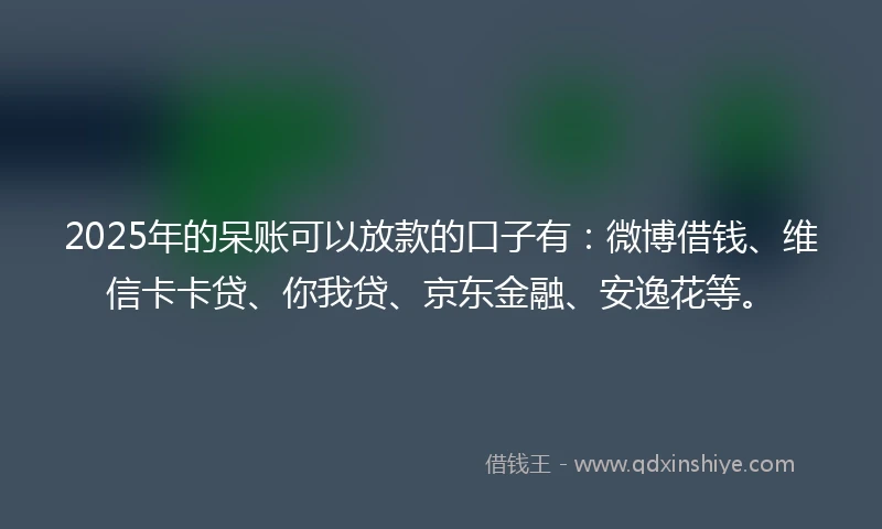 2025年的呆账可以放款的口子有：微博借钱、维信卡卡贷、你我贷、京东金融、安逸花等。
