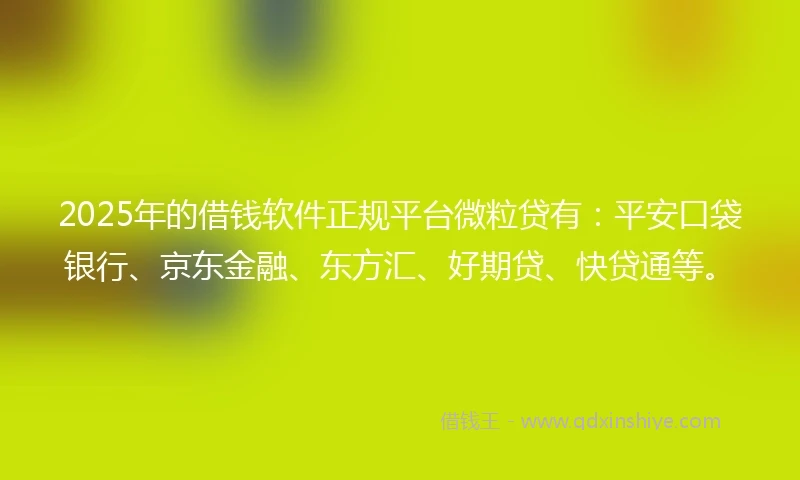 2025年的借钱软件正规平台微粒贷有：平安口袋银行、京东金融、东方汇、好期贷、快贷通等。