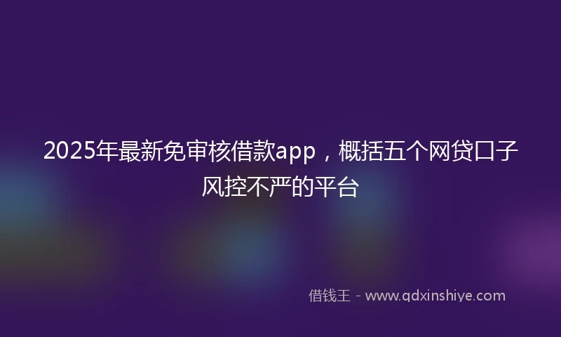 2025年最新免审核借款app，概括五个网贷口子风控不严的平台