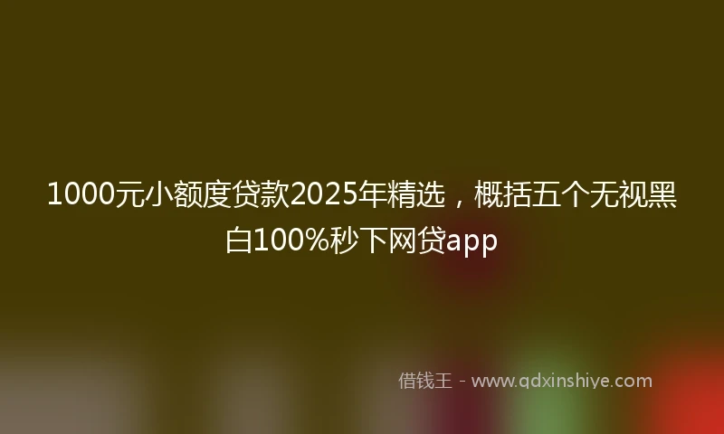 1000元小额度贷款2025年精选，概括五个无视黑白100%秒下网贷app