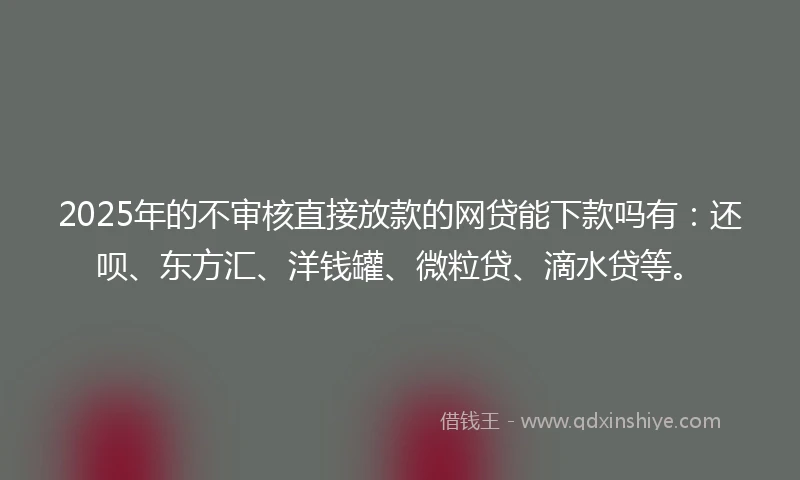 2025年的不审核直接放款的网贷能下款吗有：还呗、东方汇、洋钱罐、微粒贷、滴水贷等。
