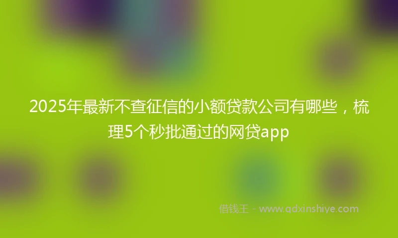 2025年最新不查征信的小额贷款公司有哪些，梳理5个秒批通过的网贷app