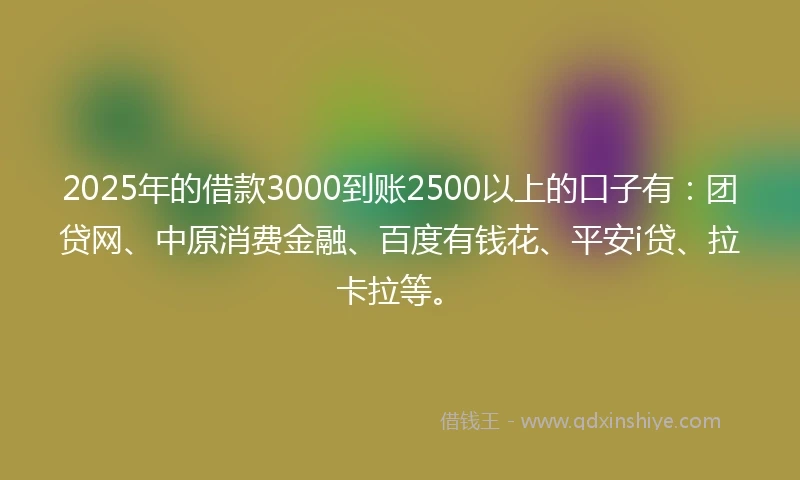 2025年的借款3000到账2500以上的口子有：团贷网、中原消费金融、百度有钱花、平安i贷、拉卡拉等。
