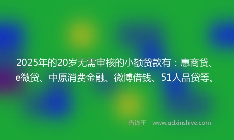 2025年的20岁无需审核的小额贷款有：惠商贷、e微贷、中原消费金融、微博借钱、51人品贷等。