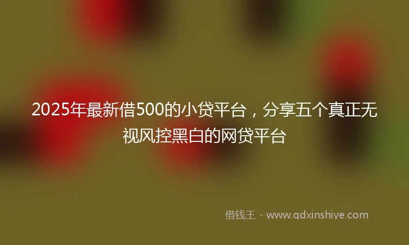 2025年最新借500的小贷平台，分享五个真正无视风控黑白的网贷平台