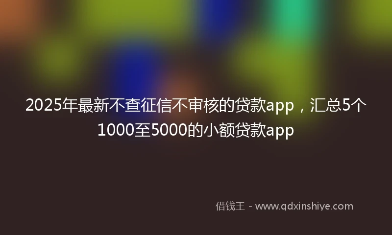 2025年最新不查征信不审核的贷款app，汇总5个1000至5000的小额贷款app