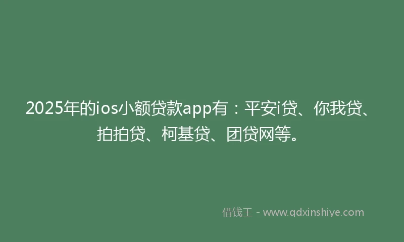2025年的ios小额贷款app有：平安i贷、你我贷、拍拍贷、柯基贷、团贷网等。
