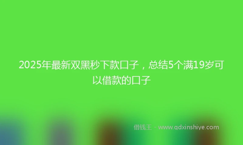 2025年最新双黑秒下款口子，总结5个满19岁可以借款的口子