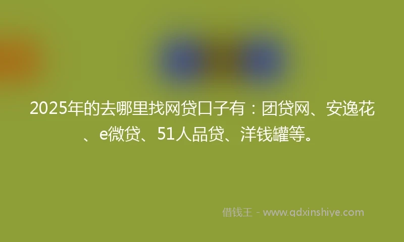 2025年的去哪里找网贷口子有：团贷网、安逸花、e微贷、51人品贷、洋钱罐等。