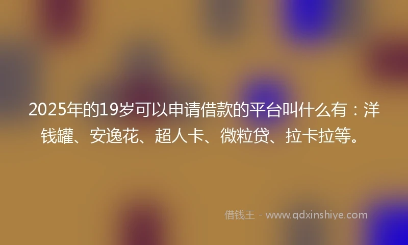 2025年的19岁可以申请借款的平台叫什么有：洋钱罐、安逸花、超人卡、微粒贷、拉卡拉等。