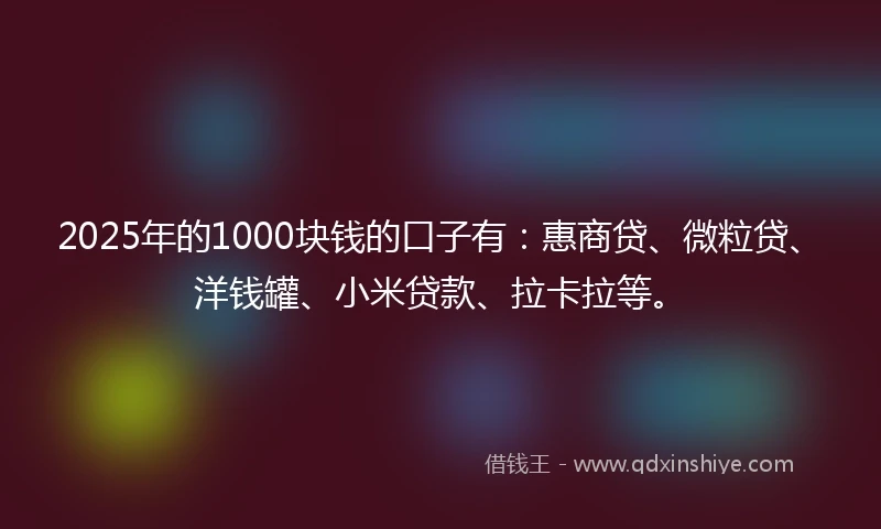2025年的1000块钱的口子有：惠商贷、微粒贷、洋钱罐、小米贷款、拉卡拉等。