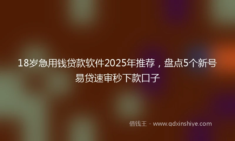 18岁急用钱贷款软件2025年推荐，盘点5个新号易贷速审秒下款口子