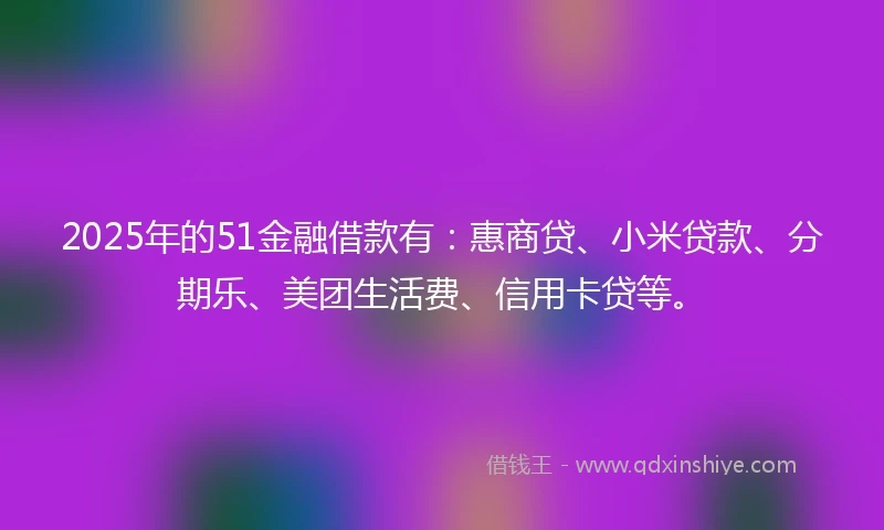 2025年的51金融借款有：惠商贷、小米贷款、分期乐、美团生活费、信用卡贷等。