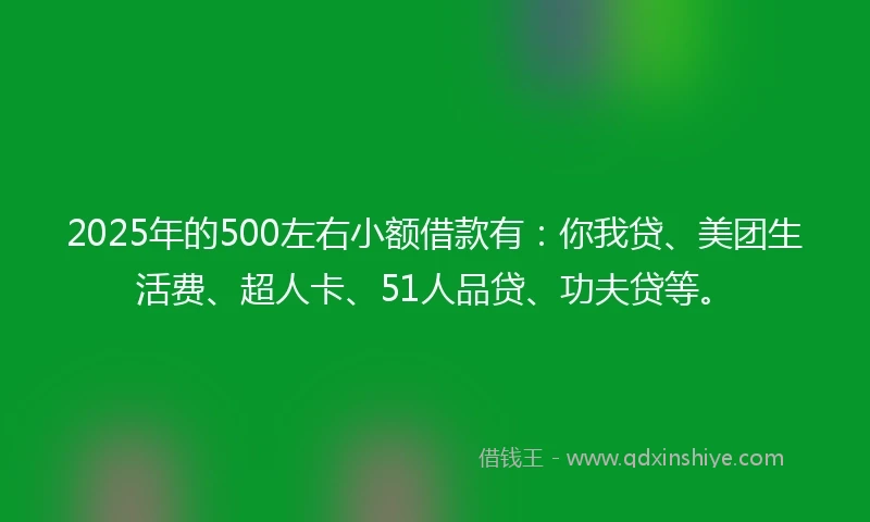 2025年的500左右小额借款有：你我贷、美团生活费、超人卡、51人品贷、功夫贷等。