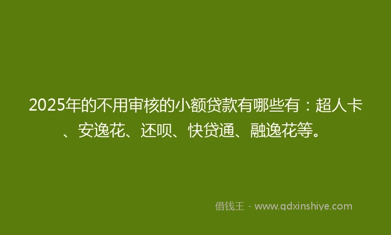 2025年的不用审核的小额贷款有哪些有：超人卡、安逸花、还呗、快贷通、融逸花等。