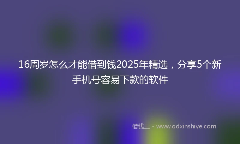 16周岁怎么才能借到钱2025年精选，分享5个新手机号容易下款的软件