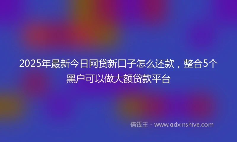 2025年最新今日网贷新口子怎么还款，整合5个黑户可以做大额贷款平台