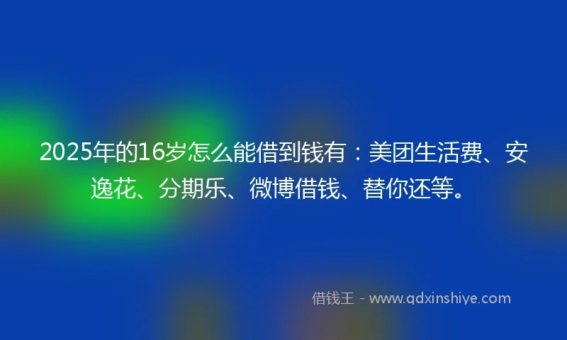 2025年的16岁怎么能借到钱有：美团生活费、安逸花、分期乐、微博借钱、替你还等。