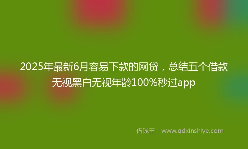 2025年最新6月容易下款的网贷，总结五个借款无视黑白无视年龄100%秒过app