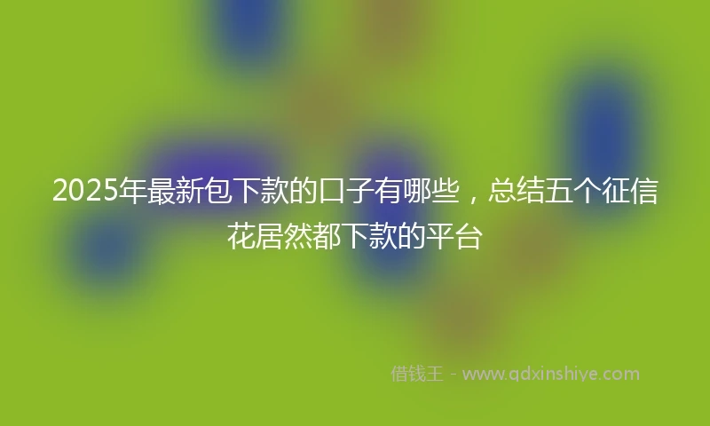 2025年最新包下款的口子有哪些，总结五个征信花居然都下款的平台
