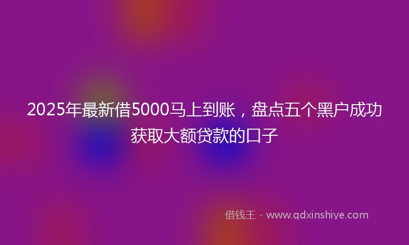 2025年最新借5000马上到账，盘点五个黑户成功获取大额贷款的口子