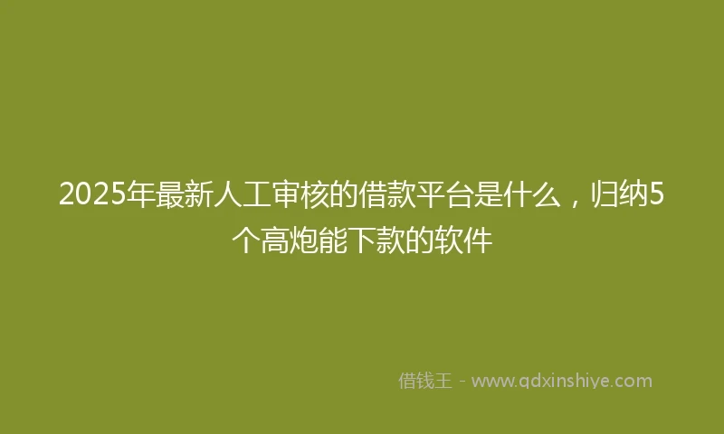 2025年最新人工审核的借款平台是什么，归纳5个高炮能下款的软件