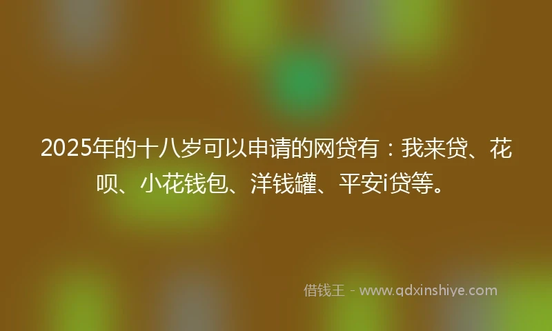 2025年的十八岁可以申请的网贷有：我来贷、花呗、小花钱包、洋钱罐、平安i贷等。