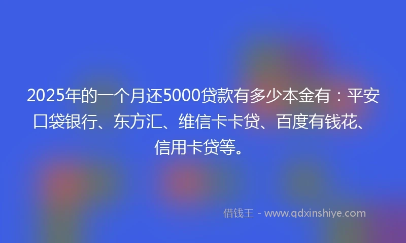 2025年的一个月还5000贷款有多少本金有：平安口袋银行、东方汇、维信卡卡贷、百度有钱花、信用卡贷等。