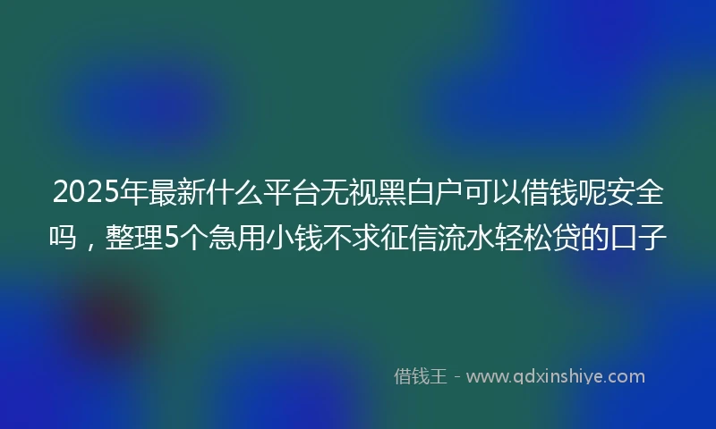 2025年最新什么平台无视黑白户可以借钱呢安全吗，整理5个急用小钱不求征信流水轻松贷的口子